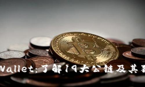 探秘TPWallet：了解19大公链及其独特魅力